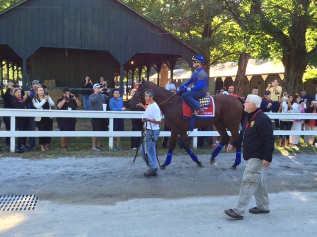 americanpharoah1